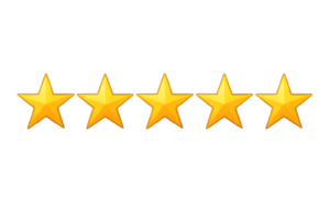 5 stars reviews indoor karting lommel